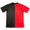 Original Fußballtrikot Sport Recife Jubiläum 2024-25 Für Herren